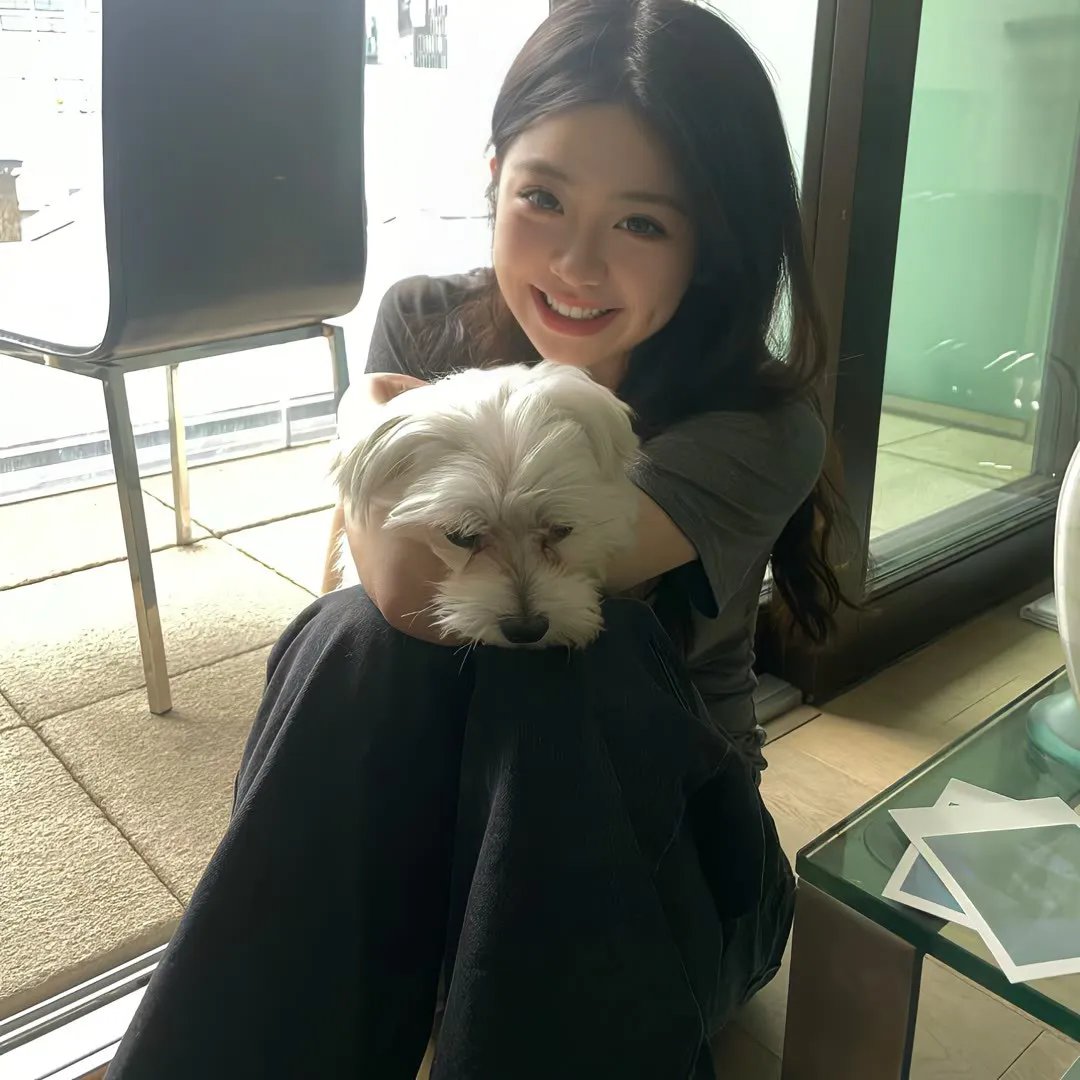 猛虎出笼