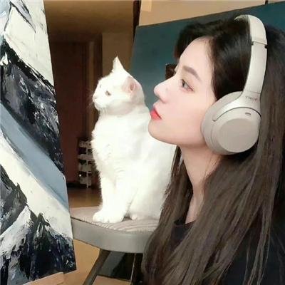 黑玫瑰